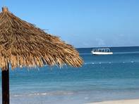 An umbrella sitting on top of a sandy beach next to the ocean

Description automatically generated